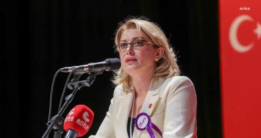 YENİ Parti Kadın Kolları Genel Başkanı ve Osmaniye Milletvekili Asu