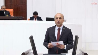 YENİ Parti Kayseri Milletvekili Aşkın Genç, yeni Orta Vadeli Programı