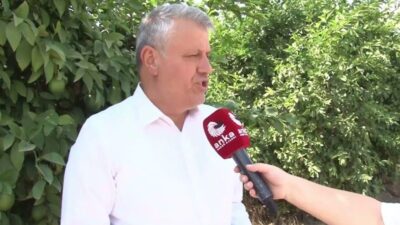 YENİ Parti Adana Milletvekili Ayhan Barut, limon üreticisinin ürününü maliyetinin