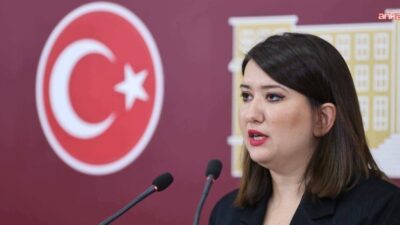 YENİ Parti İzmir Milletvekili Gökçe Gökçen, "AK Parti'deki görevlerinden affını