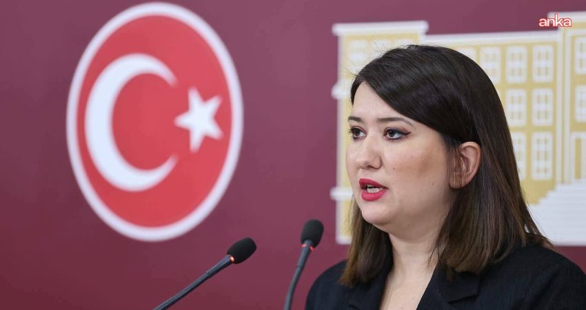 YENİ Parti İzmir Milletvekili Gökçe Gökçen, "AK Parti'deki görevlerinden affını