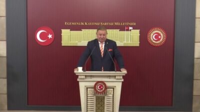 Yeniden Refah Partisi Genel Başkan Yardımcısı ve İstanbul Milletvekili Doğan