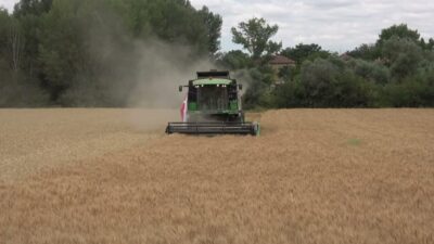 Yozgat’ta farklı tohum çeşitlerinin bölge şartlarına uyumunu belirlemek amacıyla yapılan