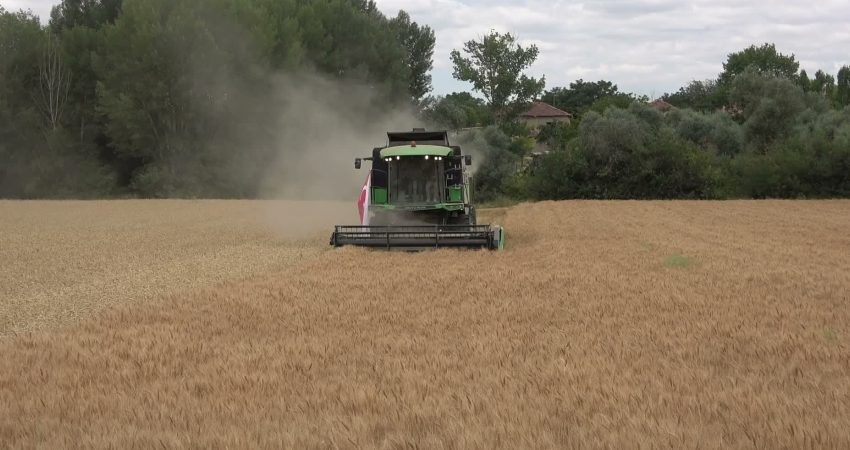 Yozgat’ta farklı tohum çeşitlerinin bölge şartlarına uyumunu belirlemek amacıyla yapılan