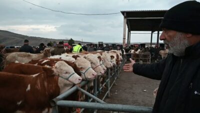 Yozgat Veteriner Hekimler Odası, çevre illerde görülen şap hastalığı nedeniyle