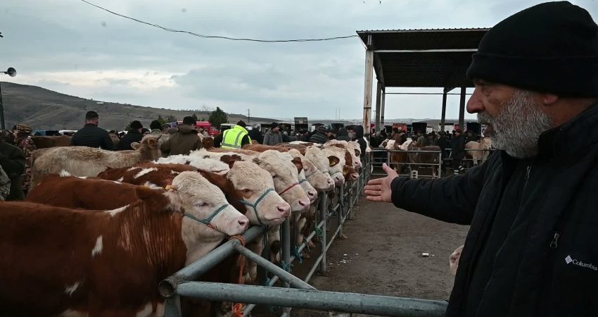 Yozgat’ta şap önlemi: Canlı hayvan pazarları tedbir amaçlı kapatıldı Yozgat Veteriner Hekimler Odası, çevre illerde görülen şap hastalığı nedeniyle