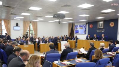YENİ Parti İstanbul Milletvekili Özgür Karabat, TBMM Plan ve Bütçe