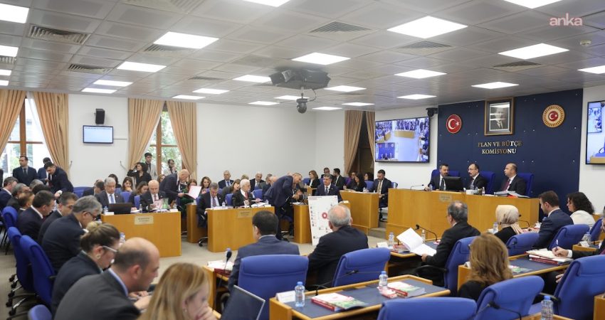 YENİ Parti İstanbul Milletvekili Özgür Karabat, TBMM Plan ve Bütçe