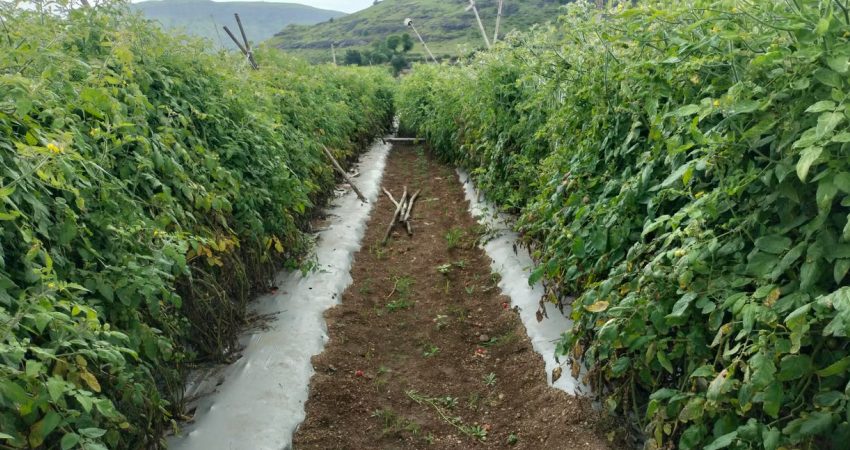 AB üyesi 17 ülkeden ortak bütçe çağrısı: Tarım ve uyum fonları korunsun İtalya Başbakanı Giorgia Meloni ve Romanya Cumhurbaşkanı Nicușor Dan öncülüğündeki