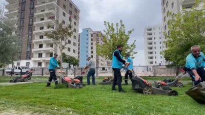Adıyaman Belediyesi, Yunus Emre Mahallesi Muhtarlık Parkı’nda çim biçme, çevre