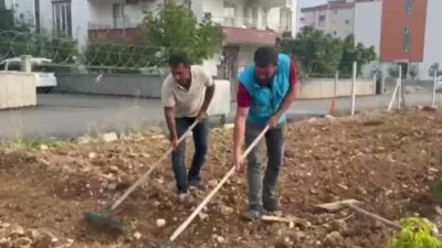 Adıyaman Belediyesi ile Adıpayam Kadın Kooperatifi iş birliğinde kurulan Sebze