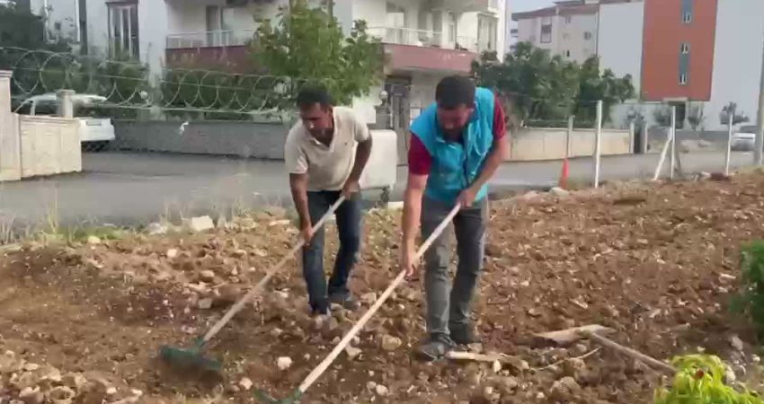 Adıyaman Belediyesi ile Adıpayam Kadın Kooperatifi iş birliğinde kurulan Sebze