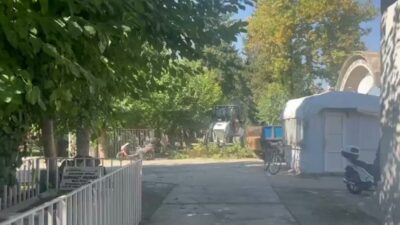 Adıyaman Belediyesi, Eski Mezarlık’ta ağaç budama, çevre temizliği ve bakım