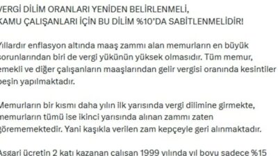 Anadolu Eğitim Sendikası (AES) Genel Başkanı Mehmet Alper Öğretici, vergi