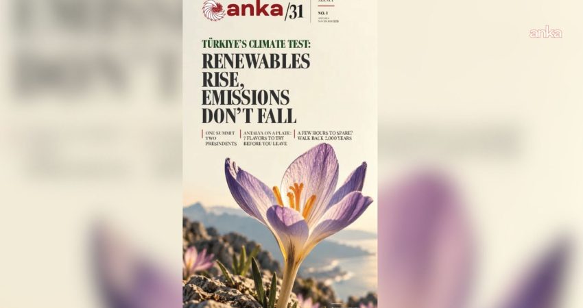 ANKA’dan COP31’e özel yayın: ANKA31’in ilk sayısı çıktı ANKA Haber Ajansı'nın, 9-20 Kasım'da Antalya'da düzenlenecek Birleşmiş Milletler İklim