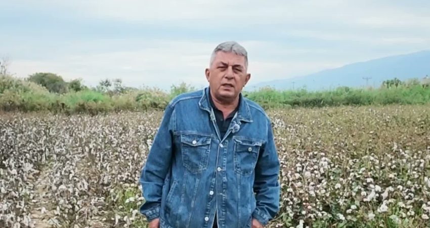 Aydın Nazilli’de pamuk üreticisi Mesut Yörükoğlu, artan mazot, gübre, ilaç