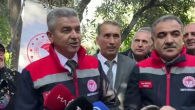 Yusufeli’nin Yağcılar köyünde Butko zeytini hasadı başladı. Hasada katılan Artvin