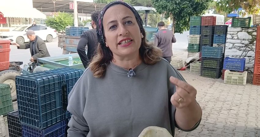 Aydın’ın Karacasu ilçesinde tüccar Gülsüm Bilir, zeytin fiyatlarının geçen sezona