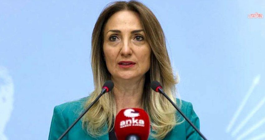Eski CHP Ankara Milletvekili Aylin Nazlıaka, Ayhan Şengüler'in, kızı Hifa