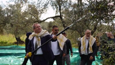 Bu yıl 21’incisi düzenlenen Uluslararası Ayvalık Zeytin Hasat ve Turizm