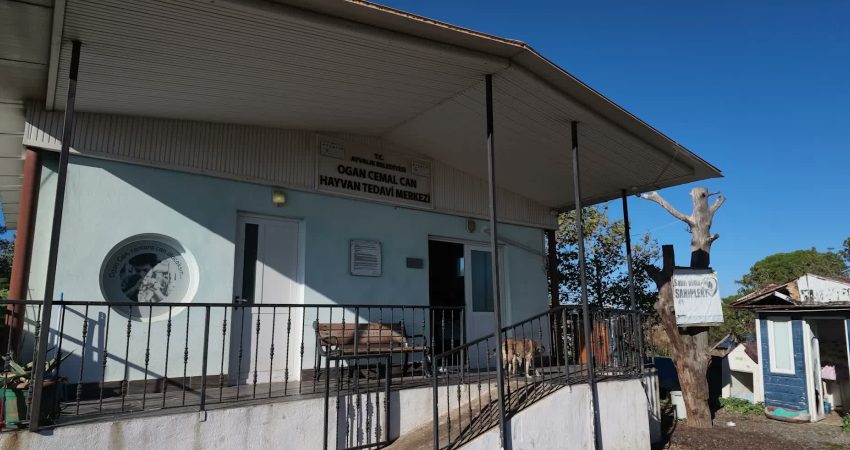 Ayvalık’ta Dünya Hayvanları Koruma Günü can dostlarla kutlandı Ayvalık Belediyesi Geçici Bakım ve Rehabilitasyon Merkezi’nde Dünya Hayvanları Koruma