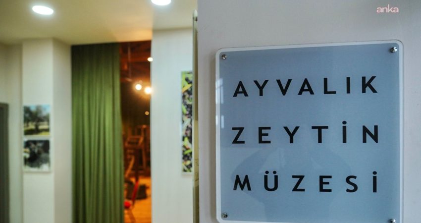 Ayvalık’ta zeytin ve zeytinyağı kültürü geleceğe taşınıyor Ayvalık Belediyesi Zeytin ve Zeytinyağı Galerisi, 21. Uluslararası Ayvalık Zeytin