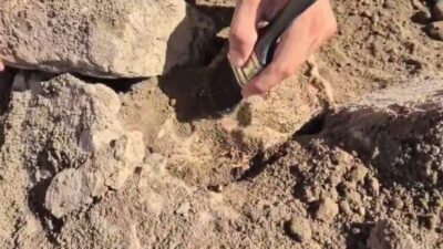 Kültür ve Turizm Bakanı Mehmet Nuri Ersoy, Tavşanlı Höyük kazılarında