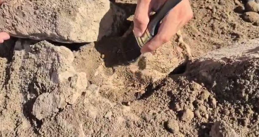 Kültür ve Turizm Bakanı Mehmet Nuri Ersoy, Tavşanlı Höyük kazılarında