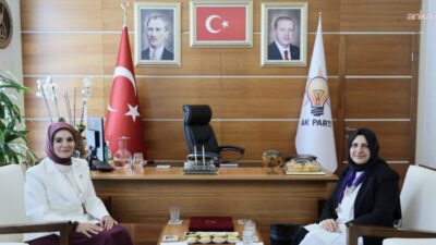 Aile ve Sosyal Hizmetler Bakanı Mahinur Özdemir Göktaş, AK Parti