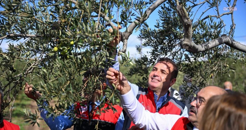 Balıkesir Büyükşehir Belediye Başkanı Ahmet Akın, Ayvalık ilçesi Altınova Mahallesi'nde