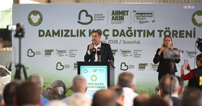 Balıkesir Büyükşehir Belediyesi, Bigadiç Çömlekçi tesislerinde yetiştirilen 47 damızlık koçu