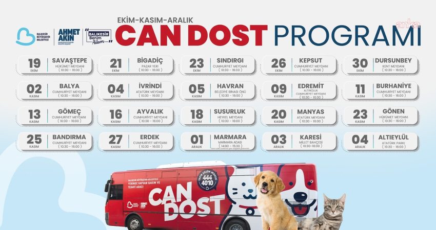 Balıkesir Büyükşehir Belediyesi’nin kedilere ücretsiz sağlık taraması, bakım, tedavi ve