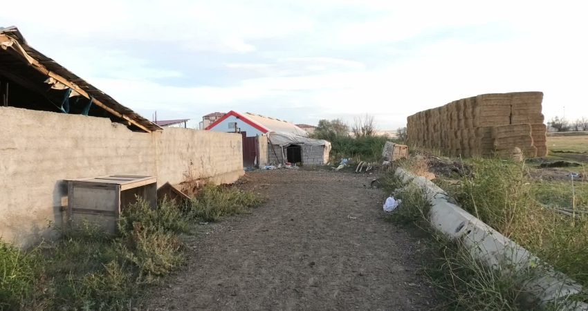 Besici maliyetlerin yükselmesinden yakındı: “Bu işi yapmanın artık bir mantığı kalmadı” Yozgat'ın Boğazlıyan ilçesinde büyükbaş besiciliği yapan Faruk Özkan, yem fiyatlarının