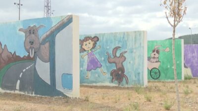 İzmir Büyükşehir Belediyesi, sahipsiz hayvanlar için bakım ve rehabilitasyon çalışmalarını