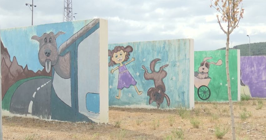 Bir yuva, bir canın hayatını değiştirir İzmir Büyükşehir Belediyesi, sahipsiz hayvanlar için bakım ve rehabilitasyon çalışmalarını