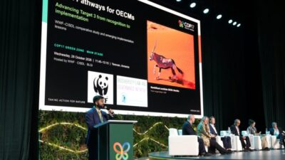 BM Biyoçeşitlilik Konferansı COP17 sona erdi: 2030 hedefleri için “Erivan Yol Haritası” kabul edildi Birleşmiş Milletler (BM) Biyolojik Çeşitlilik Sözleşmesi'nin (CBD) 17. Taraflar Konferansı