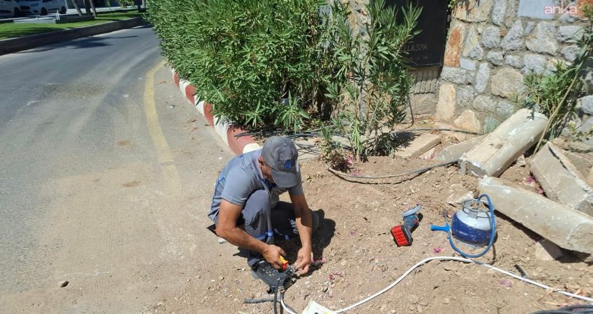 Bodrum Belediyesi Destek Hizmetleri Müdürlüğü, vatandaşların yaşam kalitesini artırmak ve