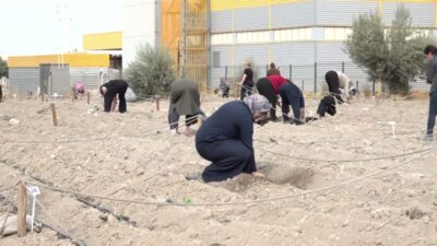 Bornova genelindeki kent bostanı sayısını 9’a çıkararak kentsel tarım alanını