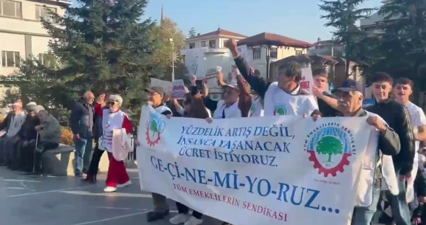 Tüm Emeklilerin Sendikası üyeleri, emeklilerin ekonomik sıkıntılarına dikkati çekmek amacıyla