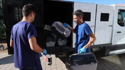 Buca Belediyesi, Sokak Hayvanları Rehabilitasyon Merkezi’nde sahipli hayvanlara çip takıldığı