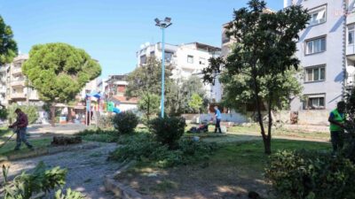 Buca Belediyesi, ilçe genelindeki park, bahçe ve yeşil alanlarda ağaç