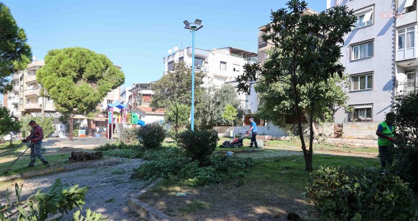 Buca Belediyesi, ilçe genelindeki park, bahçe ve yeşil alanlarda ağaç