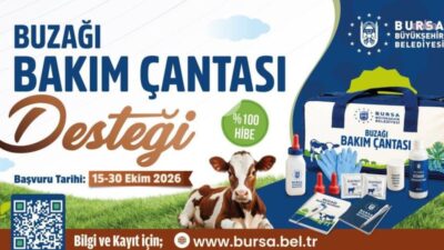 Bursa Büyükşehir Belediyesi tarafından besicilere buzağıların doğum sonrası ilk bakımında