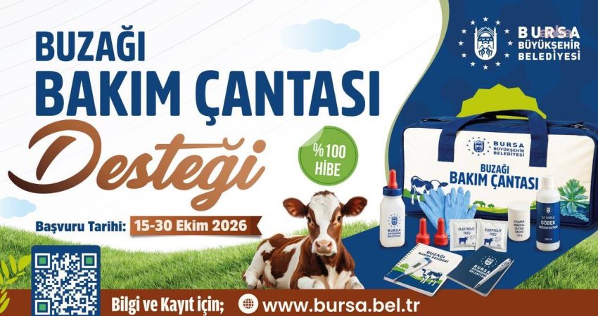 Bursa Büyükşehir Belediyesi’nden besicilere destek Bursa Büyükşehir Belediyesi tarafından besicilere buzağıların doğum sonrası ilk bakımında