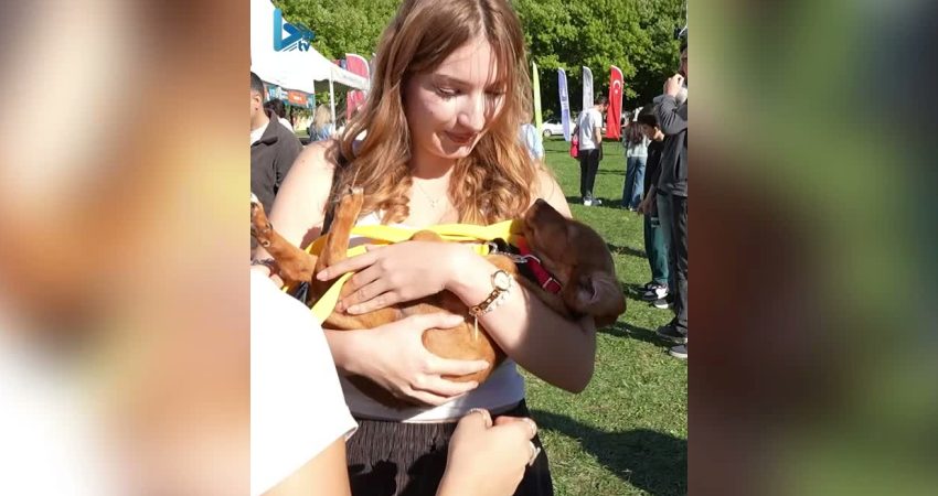 Bursa Büyükşehir Belediyesi’nin 4 Ekim Dünya Hayvanları Koruma Günü kapsamında