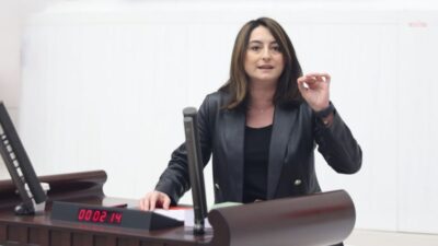 CHP Bartın Milletvekili Aysu Bankoğlu, 2027 Yılı Merkezi Yönetim Bütçe