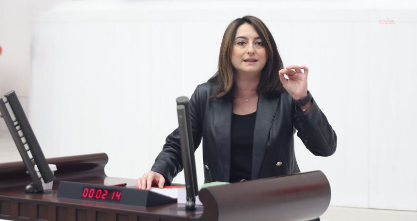 CHP Bartın Milletvekili Aysu Bankoğlu, 2027 Yılı Merkezi Yönetim Bütçe
