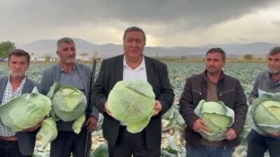 Niğde’nin Bor ilçesi Kaynarca köyünde lahana üreticileriyle bir araya gelen
