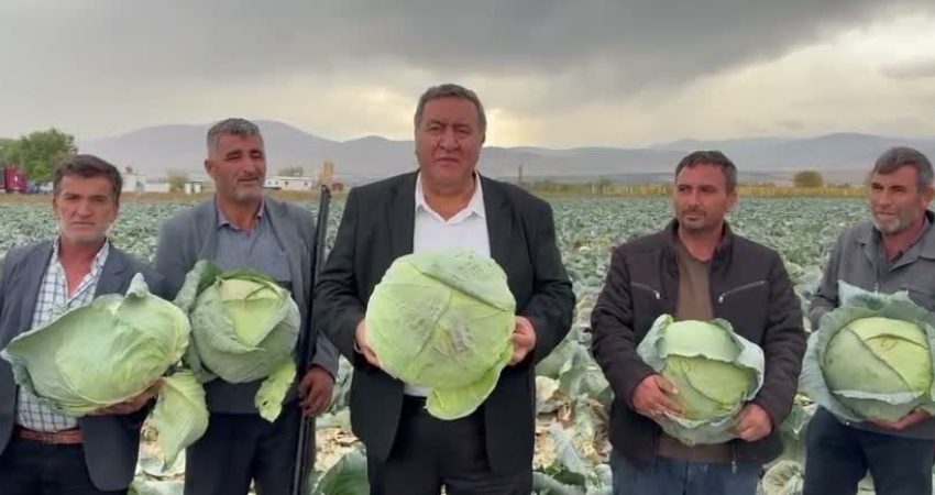 CHP’li Gürer, lahana üreticisinin sorunlarını dinledi: “Geçen yıl 70 liraya kadar satılan lahana bu yıl 30-35 liraya alıcı bulmakta zorlanıyor” Niğde’nin Bor ilçesi Kaynarca köyünde lahana üreticileriyle bir araya gelen