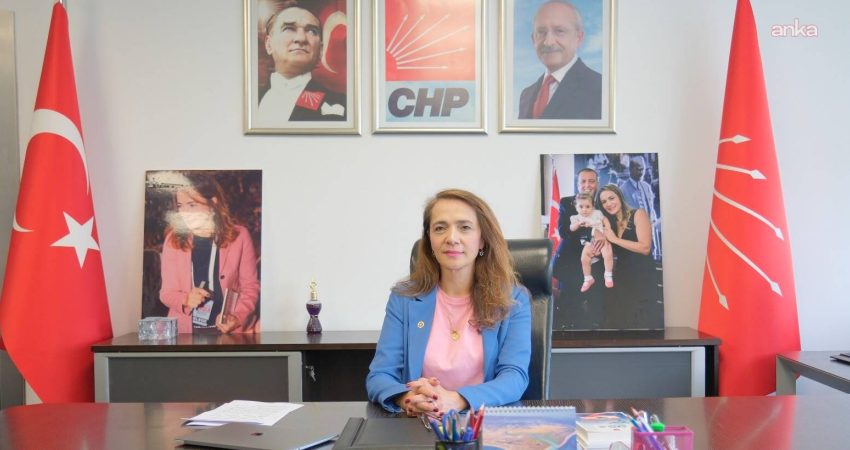 CHP Genel Başkan Yardımcısı Gamze Akkuş İlgezdi, "Sağlık Bakanlığı, hekimlerin
